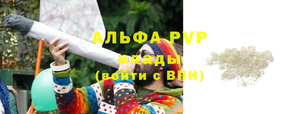 эйфоретик Бикин