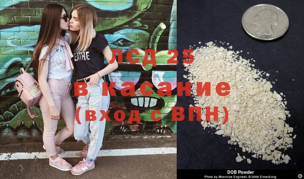 эйфоретик Бикин