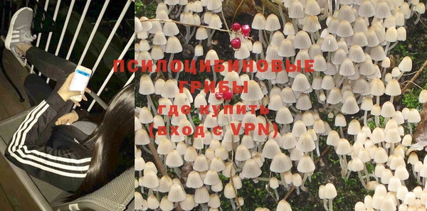 винт Мегион