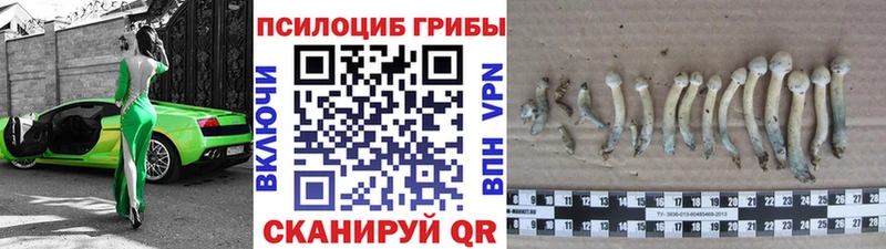 Галлюциногенные грибы Cubensis  Емва 